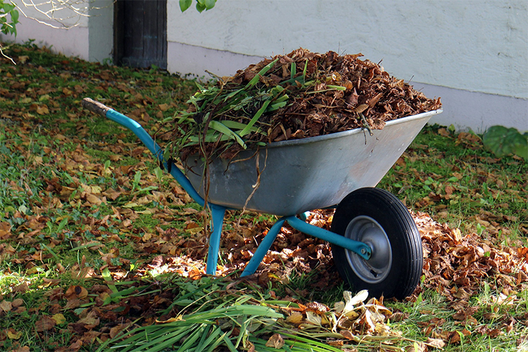 What to do with garden waste?