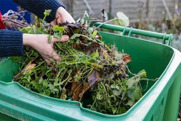 What to do with garden waste?